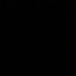 Meet your Posher, Madi